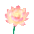 1752236192277854.gif